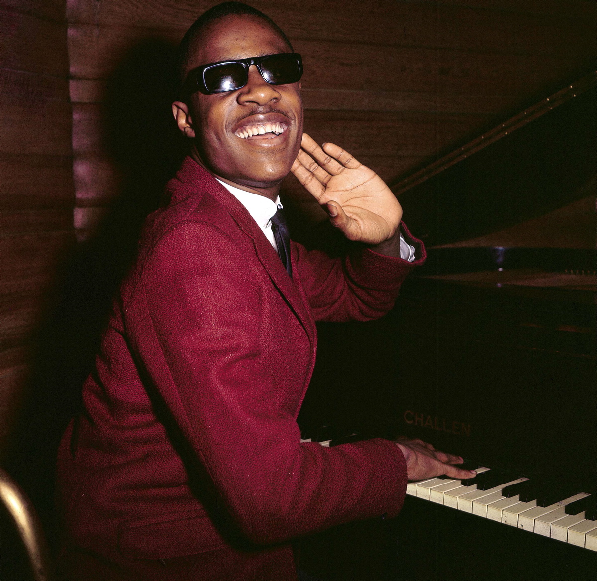 Stevie Wonder doesn't need sight to play from the heart. The music legend not only plays the piano, but he also plays the harmonica and the drums in some of his biggest hits.